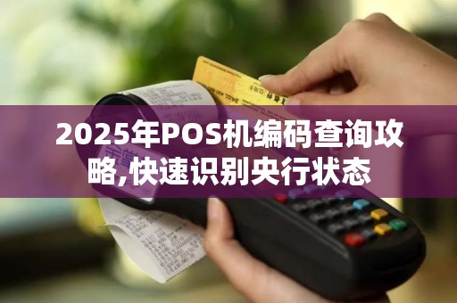 2025年POS机编码查询攻略,快速识别央行状态