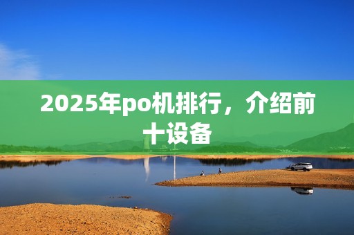 2025年po机排行，介绍前十设备