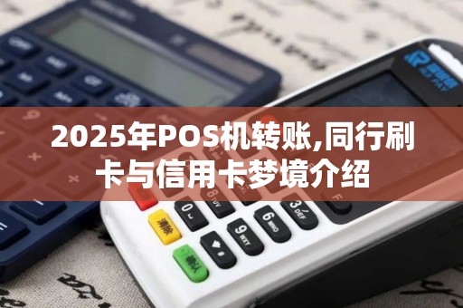 2025年POS机转账,同行刷卡与信用卡梦境介绍