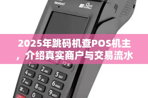 2025年跳码机查POS机主，介绍真实商户与交易流水