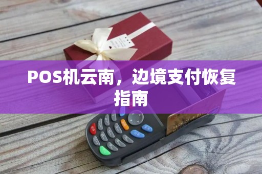 POS机云南，边境支付恢复指南