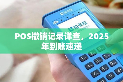 POS撤销记录详查，2025年到账速递