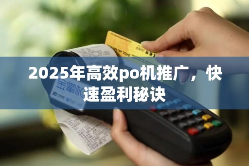 2025年高效po机推广，快速盈利秘诀