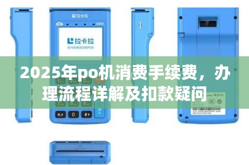 2025年po机消费手续费，办理流程详解及扣款疑问