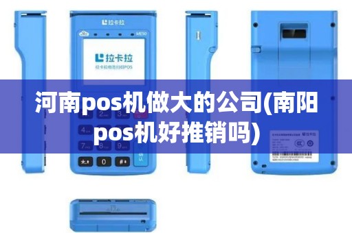 河南pos机做大的公司(南阳pos机好推销吗)