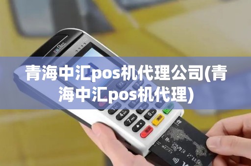 青海中汇pos机代理公司(青海中汇pos机代理)