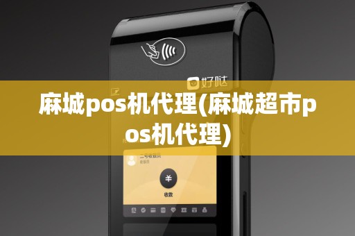麻城pos机代理(麻城超市pos机代理)