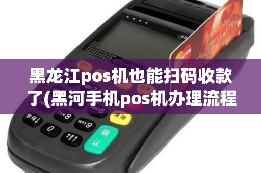黑龙江pos机也能扫码收款了(黑河手机pos机办理流程)