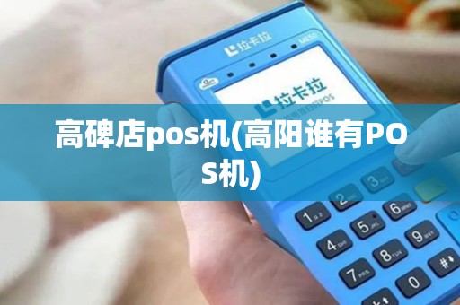 高碑店pos机(高阳谁有POS机)