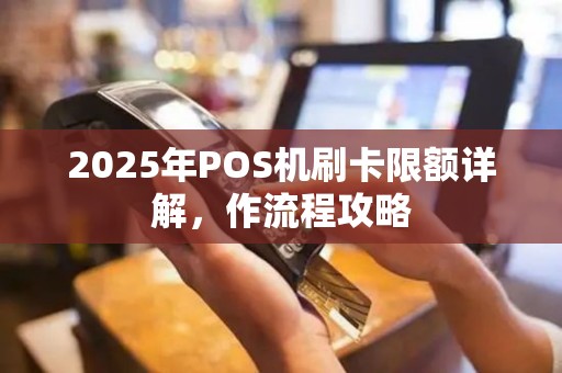 2025年POS机刷卡限额详解，作流程攻略