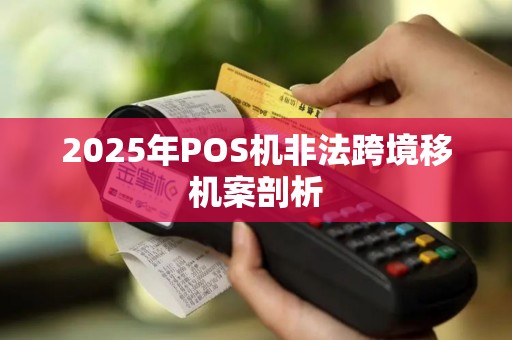 2025年POS机非法跨境移机案剖析