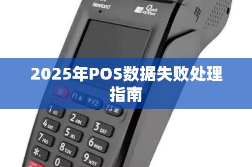 2025年POS数据失败处理指南
