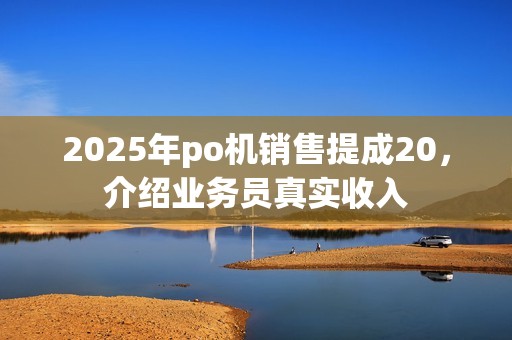 2025年po机销售提成20，介绍业务员真实收入