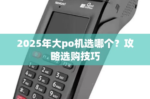 2025年大po机选哪个？攻略选购技巧
