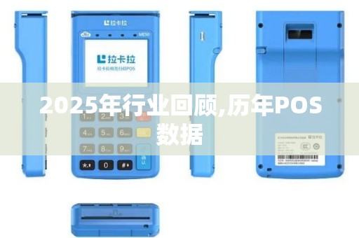 2025年行业回顾,历年POS数据
