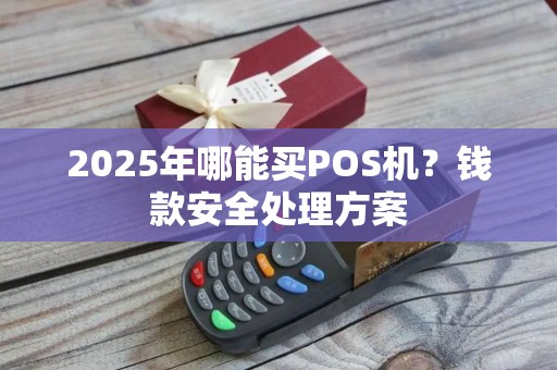 2025年哪能买POS机？钱款安全处理方案