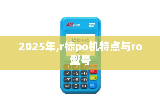 2025年,r标po机特点与ro型号
