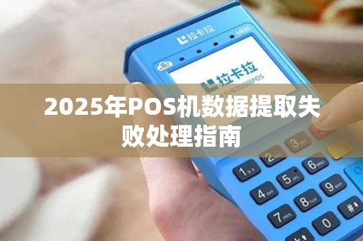 2025年POS机数据提取失败处理指南