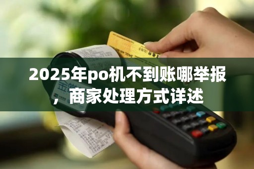 2025年po机不到账哪举报，商家处理方式详述