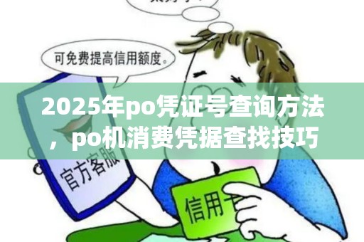 2025年po凭证号查询方法，po机消费凭据查找技巧