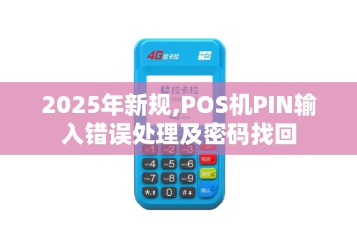 2025年新规,POS机PIN输入错误处理及密码找回