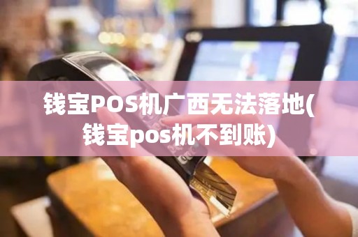 钱宝POS机广西无法落地(钱宝pos机不到账)