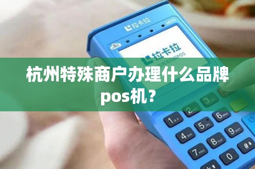 杭州特殊商户办理什么品牌pos机？