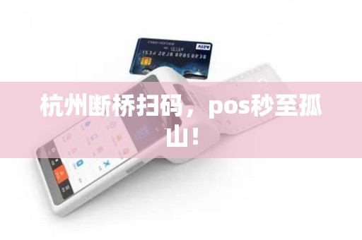杭州断桥扫码，pos秒至孤山！
