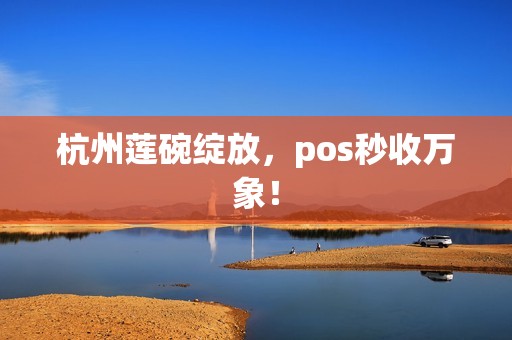 杭州莲碗绽放，pos秒收万象！