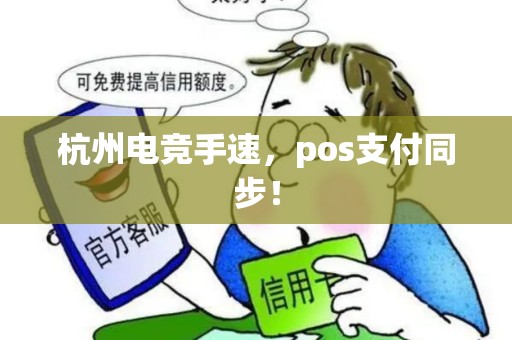 杭州电竞手速，pos支付同步！