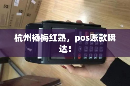 杭州杨梅红熟，pos账款瞬达！
