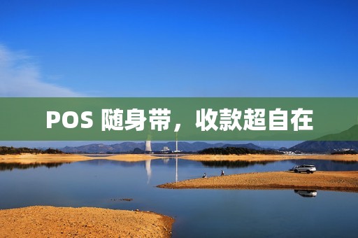 POS 随身带，收款超自在