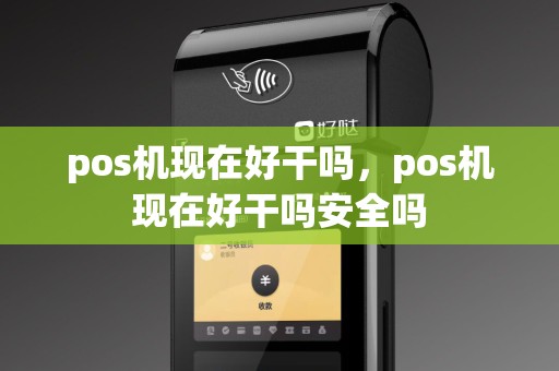 pos机现在好干吗，pos机现在好干吗安全吗