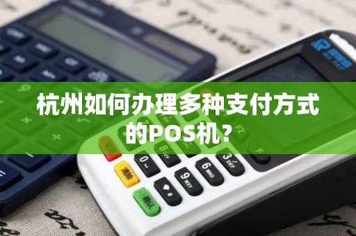 杭州如何办理多种支付方式的POS机？