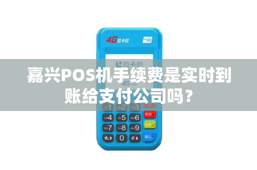 嘉兴POS机手续费是实时到账给支付公司吗？