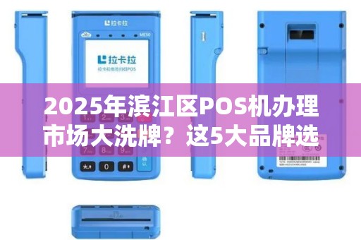 2025年滨江区POS机办理市场大洗牌？这5大品牌选择误区你可能正在踩！