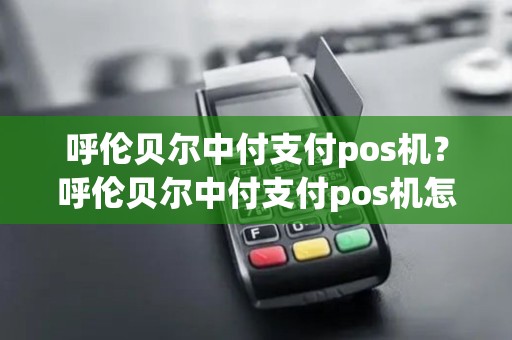 呼伦贝尔中付支付pos机？呼伦贝尔中付支付pos机怎么用
