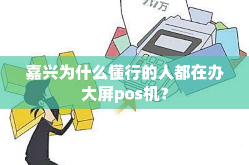 嘉兴为什么懂行的人都在办大屏pos机？