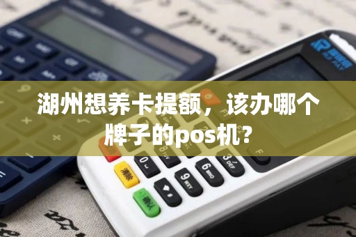 湖州想养卡提额，该办哪个牌子的pos机？
