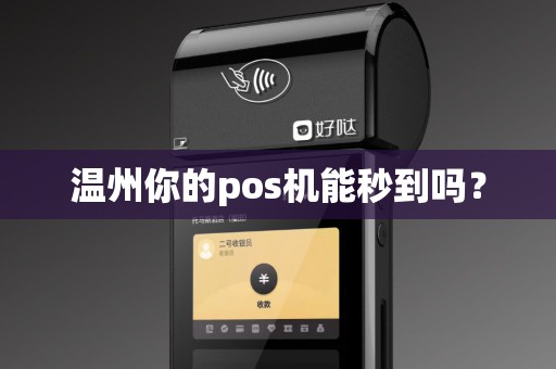 温州你的pos机能秒到吗？