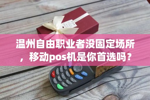 温州自由职业者没固定场所，移动pos机是你首选吗？