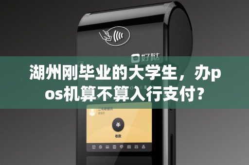 湖州刚毕业的大学生，办pos机算不算入行支付？