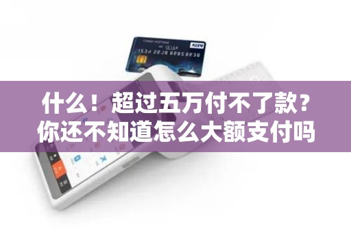 什么!超过五万付不了款?你还不知道怎么大额支付吗? 什么!超过五万付不了款?你还不知道怎么大额支付吗?