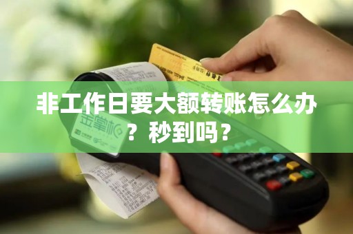 非工作日要大额转账怎么办?秒到吗? 非工作日要大额转账怎么办?秒到吗?