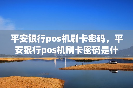 平安银行pos机刷卡密码，平安银行pos机刷卡密码是什么
