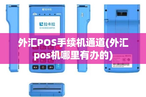 外汇POS手续机通道(外汇pos机哪里有办的)