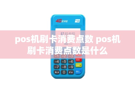 pos机刷卡消费点数 pos机刷卡消费点数是什么