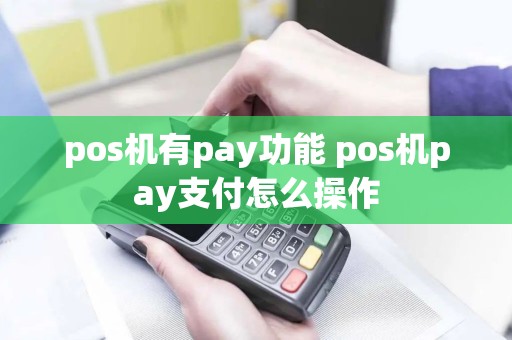 pos机有pay功能 pos机pay支付怎么操作