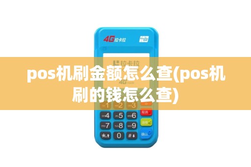 pos机刷金额怎么查(pos机刷的钱怎么查)