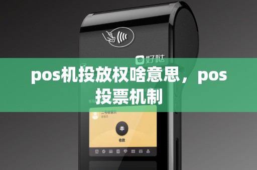 pos机投放权啥意思，pos投票机制